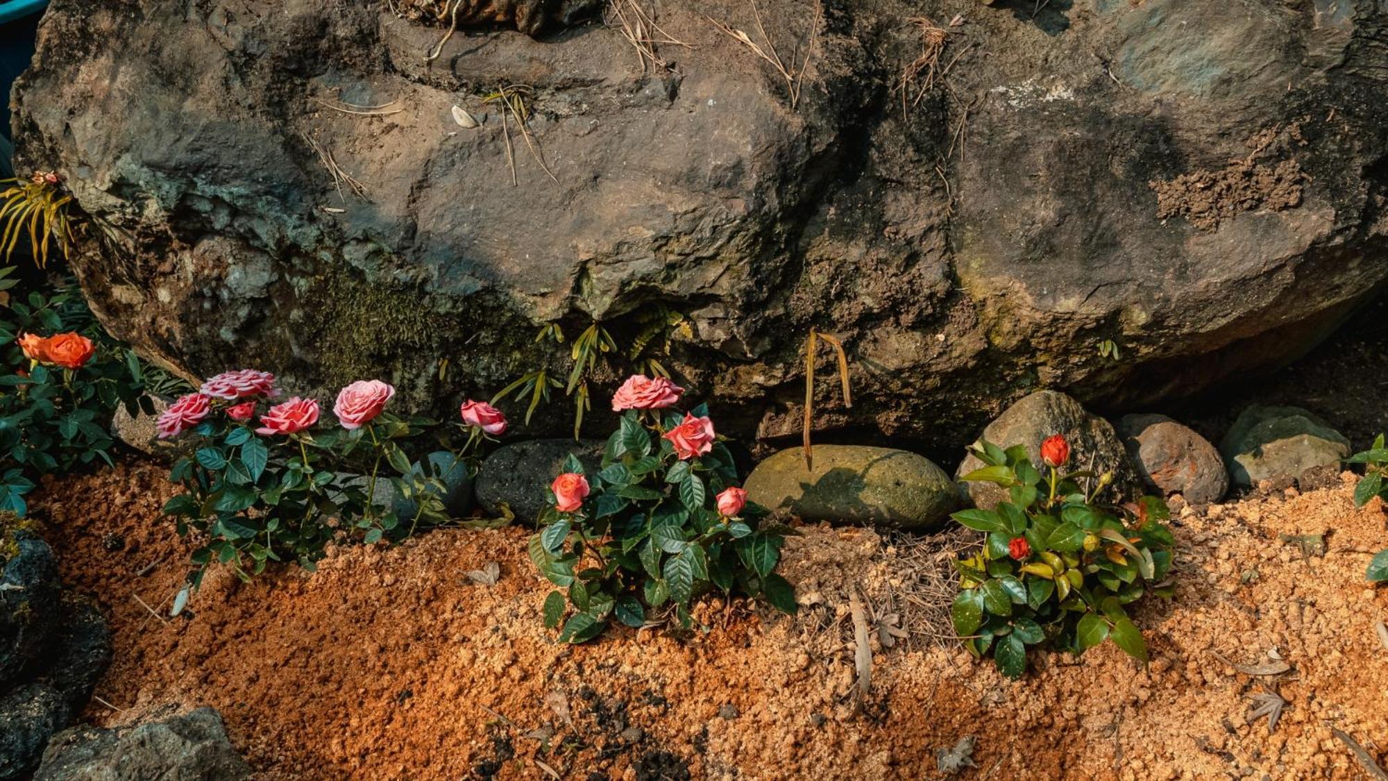 Valley Village Seogwipo Luaran gambar